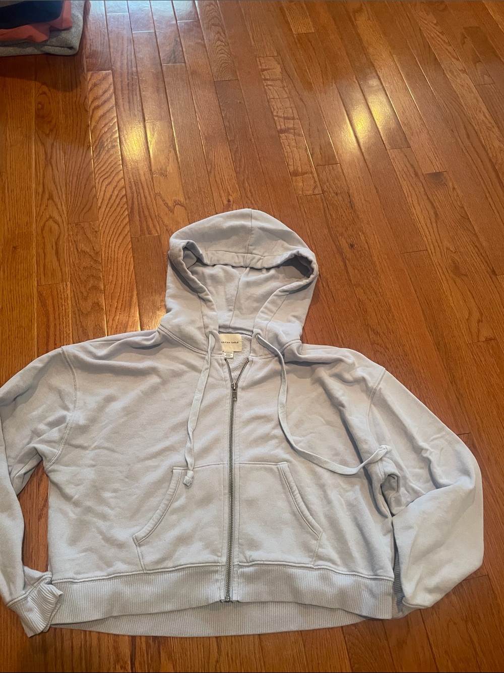 American Eagle Outfitters Light Blue Full-Zip Hoodie Sweater - Men's